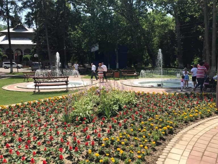 GĂEȘTI: Se caută ”infractorii” urbani, cei puși pe stricat munca altora