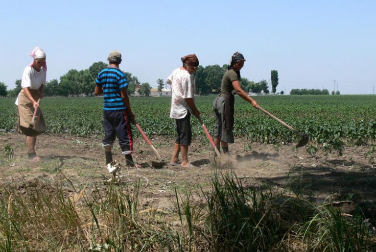 Zilierii vor putea presta dublul zilelor de muncă. Iată condițiile