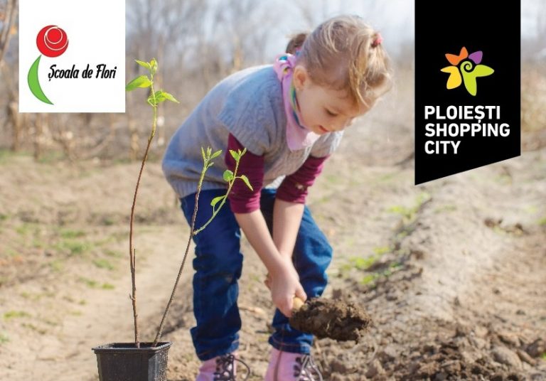 1000 de copii vor planta 10.000 de copaci