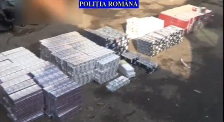 DÂMBOVIŢA: Intervenţie în forţă pentru destructurarea unei grupări infracţionale