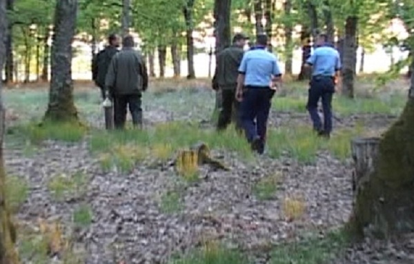 DÂMBOVIŢA: Doi bărbaţi i-au bătut crunt pe pădurarii care i-au prins furând lemne