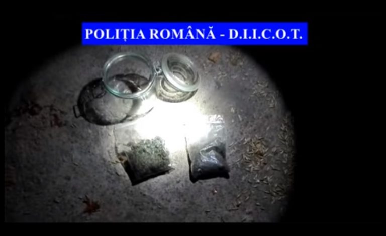 DÂMBOVIȚA: DIICOT a efectuat percheziții la locuințele unor traficanți de droguri. Ce s-a găsit | VIDEO