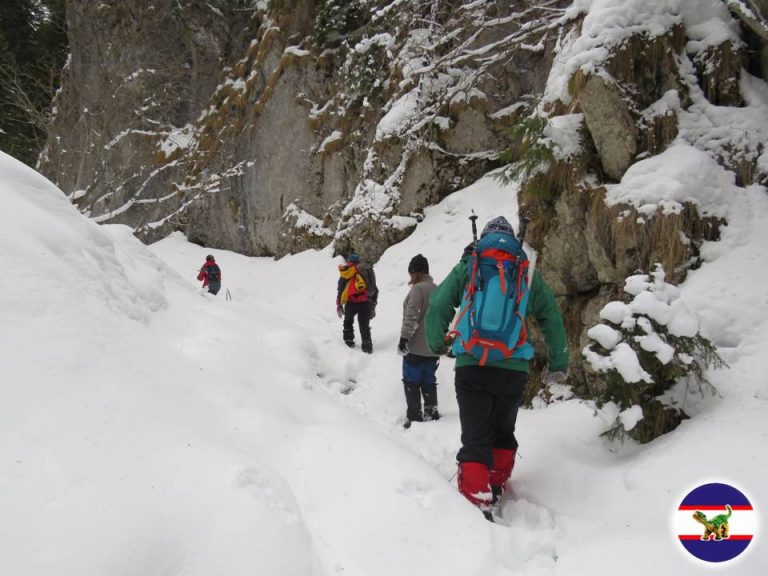 Montaniarzii dâmboviţeni, traseu prin spectaculoasa vale a Horoabei de Ziua Internaţională a Muntelui