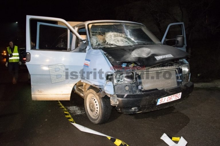 Un adolescent băut a furat maşina tatălui său şi a intrat în trei grupuri de colindători. O fată a murit