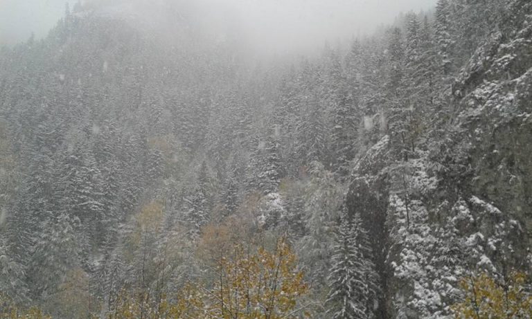 Gerul se înmoaie. Când vor reveni temperaturile de primăvară