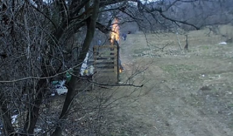 DÂMBOVIŢA: Un bărbat din Pucioasa, reţinut de poliţişti după ce a incendiat un adăpost pentru câini