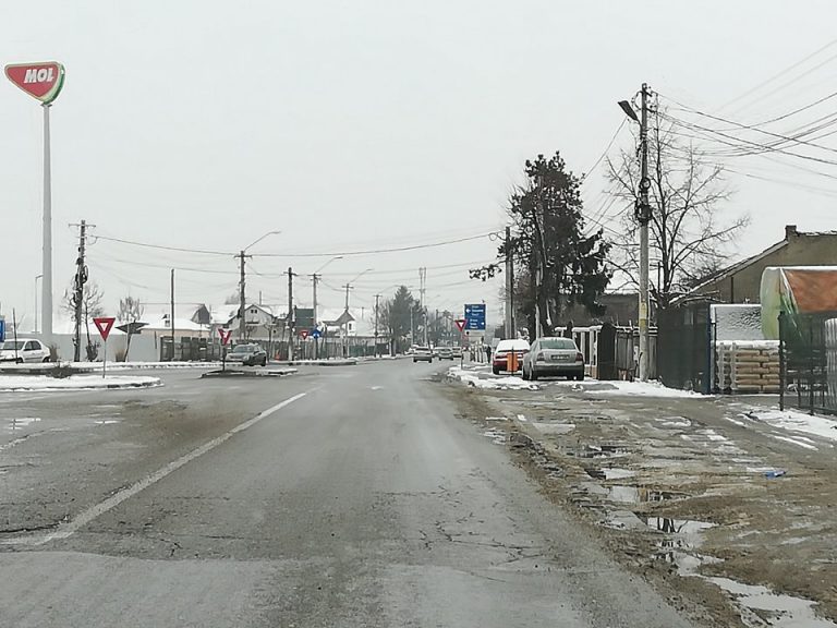 Noroaie de Târgoviște | FOTO