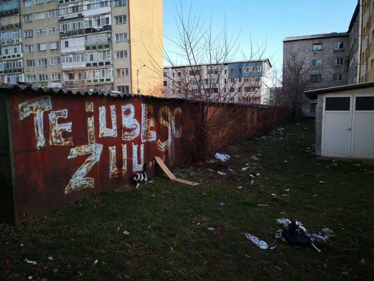 Târgoviștea, curățată cu… amenzi | FOTO