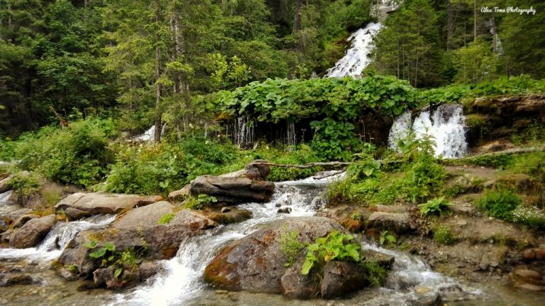 Minunile Dâmboviţei: Apa dacilor. Izvoarele vii unde se răcorea Zamolxe