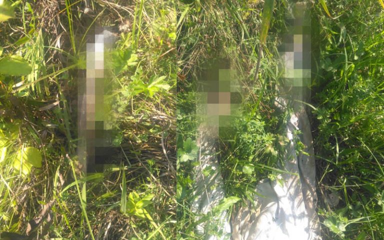 DÂMBOVIŢA: Au fost găsite oasele unui bărbat dispărut în urmă cu câteva luni | FOTO