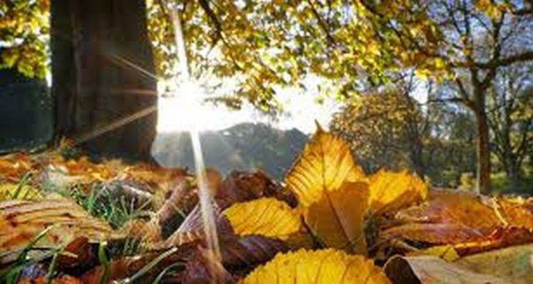 Vremea în Dâmbovița. Toamna caldă continuă