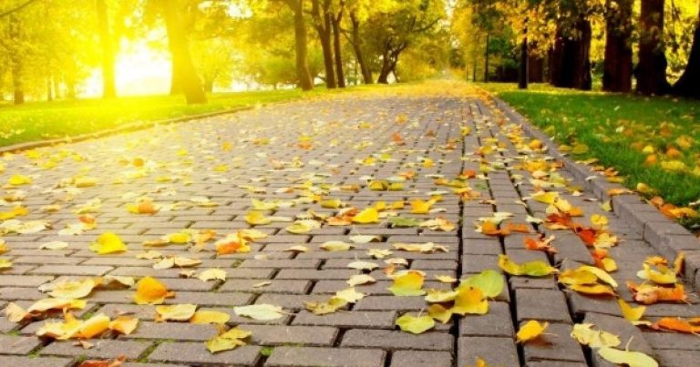 Toamnă… ca vara. Vremea în Dâmbovița în următoarea săptămână