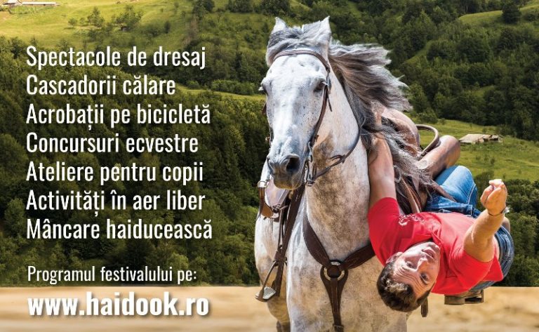 Haidook Summer Fest, la a patra ediție! Show ecvestru, acrobaţii pe bicicletă sau ateliere pentru copii la Runcu