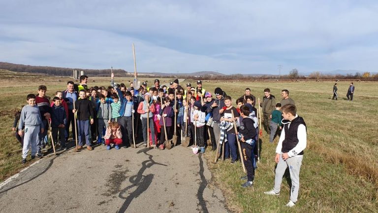 Numeroși voluntari mobilizați de Clubul Rotary Târgoviște au plantat sâmbătă peste 3 000 de puieți la Șotânga