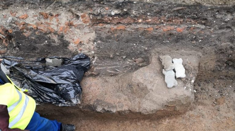 Târgoviște: Schelet uman descoperit în apropiere de Mănăstirea Stelea