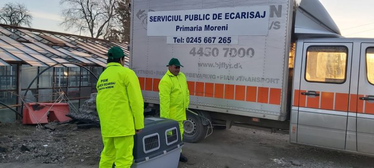 Au fost finalizate procedurile legale pentru autorizarea şi funcţionarea adăpostului de câini de la Moreni