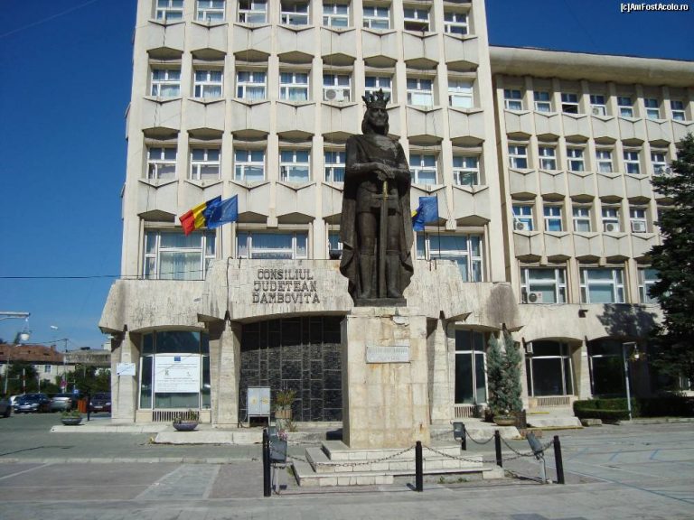 Doi consilieri noi în Consiliul Județean Dâmbovița