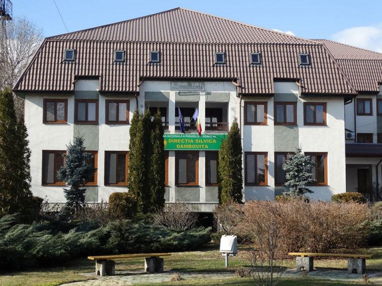Șef nou la Direcția Silvică Dâmbovița