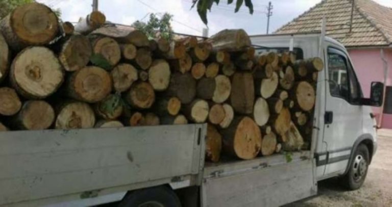 Se întețesc furturile de lemn în Dâmbovița. Polițiștii din Voinești au prins un argeșean care transporta material lemnos fără documente