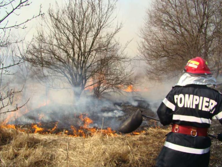 74 de incendii de vegetație într-o săptămână. Pompierii dâmbovițeni reamintesc cuantumul amenzilor
