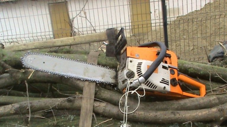 Doi bărbați din localitatea Mănești cercetați pentru furt de lemne