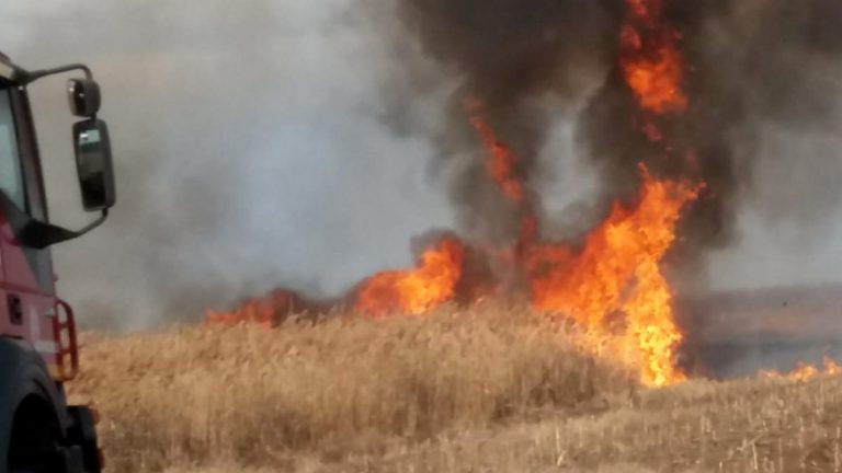 93 de intervenții într-o săptămână pentru pompierii dâmbovițeni, din care 63 de incendii de vegetație