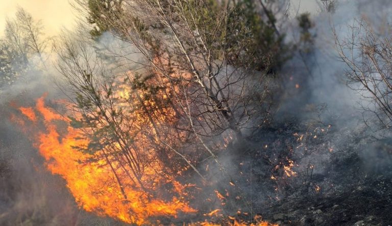 Pompierii dâmbovițeni se luptă  să stingă un incendiu de litieră de pădure pe Culmea Brata, din comuna Buciumeni. Acesta  a izbucnit în urmă cu 6 ore