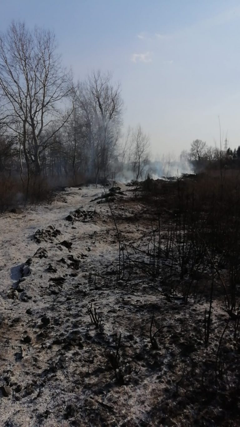 Pompierii târgovișteni se luptă să stingă un incendiu de vegetație izbucnit în zona Podului Teiș