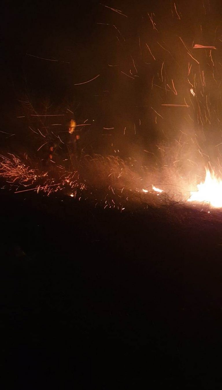 Pompierii Detașamentului Moreni au intervenit pentru stingerea unui incediu de vegetație izbucnit în comuna Filipeștii de Pădure