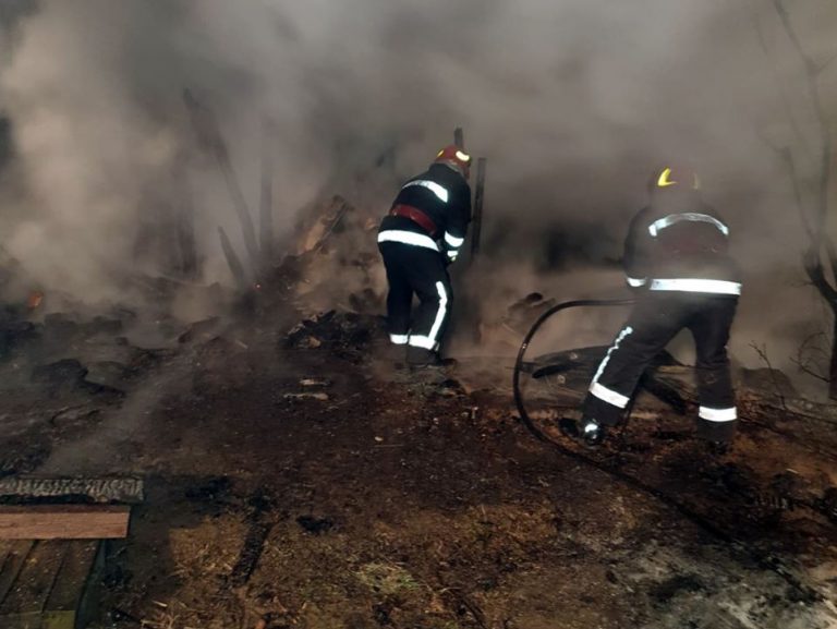 Incendiu la Lucieni, au ars stupi de albine și 3 tone de lemn depozitate. Pompierii, avertisment la utilizarea focului deschis