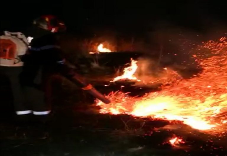 Incendiu puternic de vegetație uscată în localitatea Colanu. Pentru stingerea flăcărilor au intervenit pompierii Detașamentului Târgoviște
