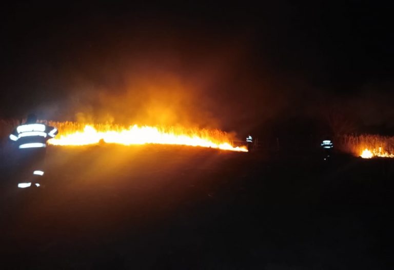 Misiune dificilă pentru pompierii de la Voinești. Au lichidat un incendiu de vegetație izbucnit în localitatea Izvoare