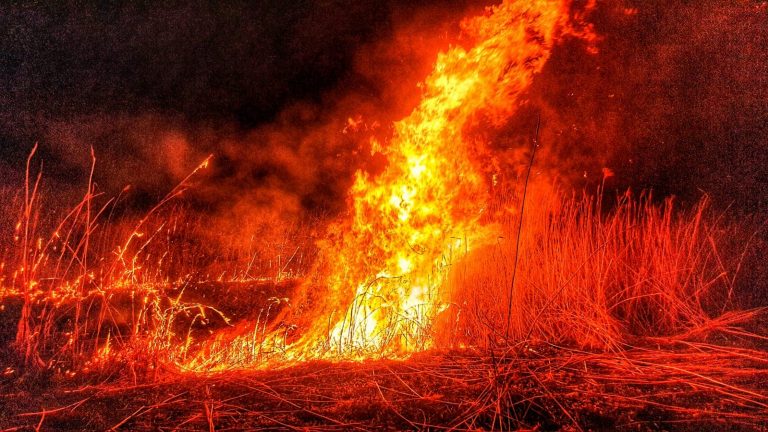 Alarmant! 7 incendii de vegetație uscată în județul Dâmbovița, în acest week-end