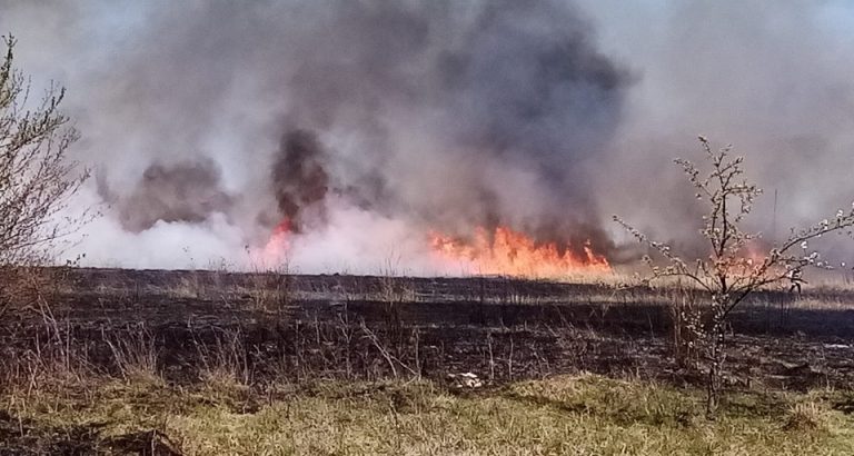Incendiu de proporții într-un sat din Dâmbovița! Zece hectare de vegetație uscată cuprinse de flăcări. Primărița din comună a cerut ajutorul sătenilor