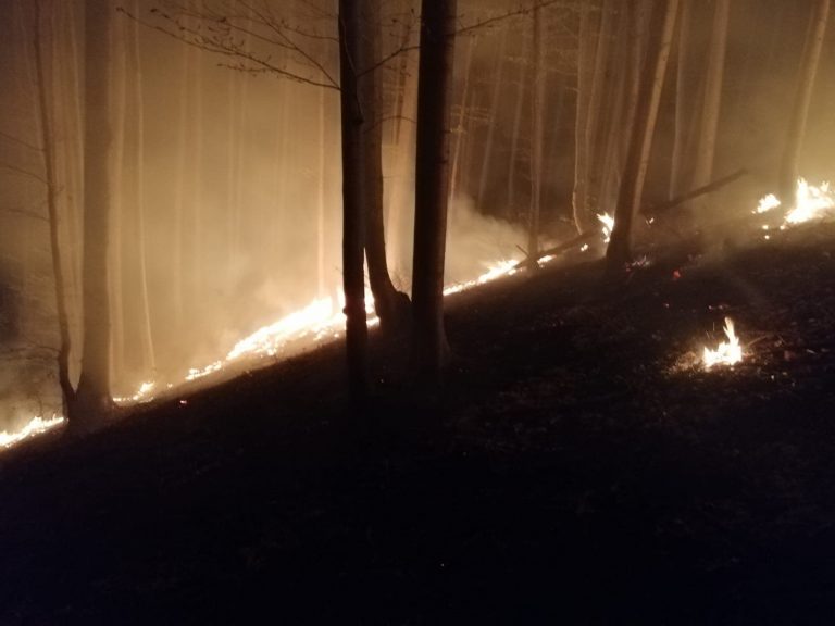 Incendiu devastator în Dâmbovița! 20 de hectare de pădure au ars în comuna Iedera