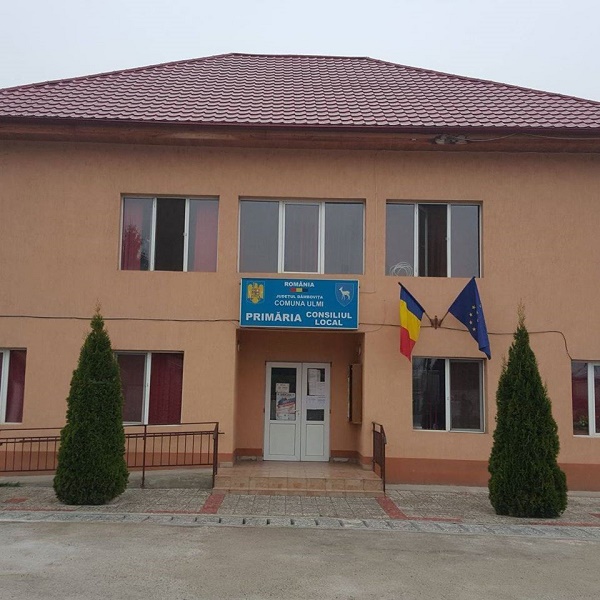 primaria ulmi