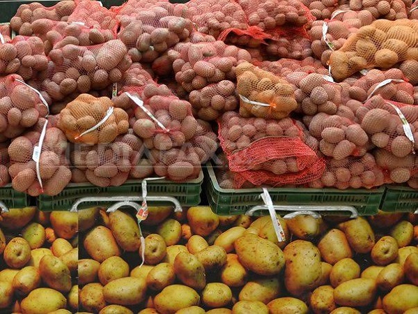 64 de milioane euro anual pe cartofi din import când România ar putea să-i producă singură. Care este cea mai mare problemă a producătorilor