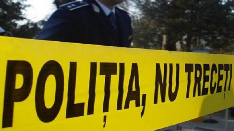 Omorât cu toporul în propria gospodărie! Moarte cumplită pentru un bărbat de 64 de ani! Agresorul, capturat de polițiști cu focuri de armă, într-un lan de floarea-soarelui