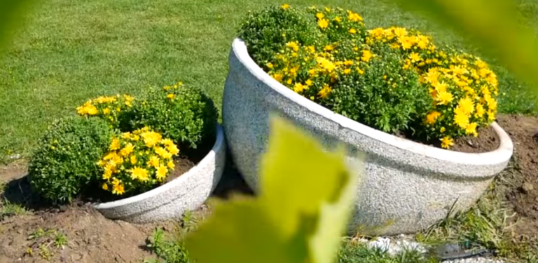 O nouă campanie de plantare flori la Titu