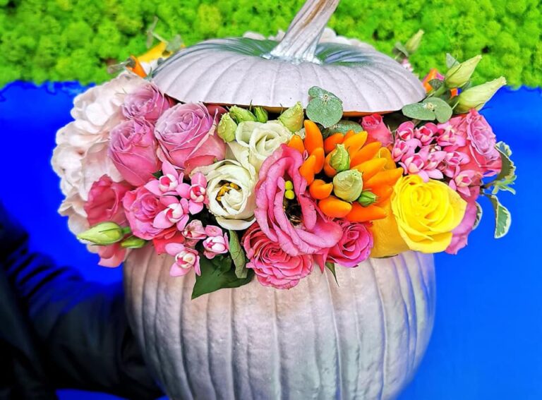 Inedit. Dovleci cu flori la Florăria The Flower Box din Târgovişte