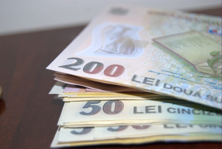 Veste bună pentru antreprenori: Pragul pentru deducerea imediată a cheltuielilor cu achizițiile de bunuri ar putea crește la 6.000 de lei