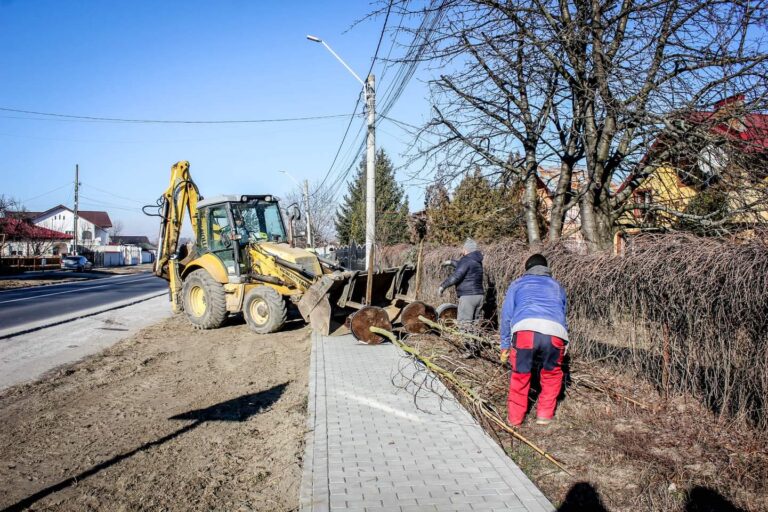 Titu: Au început lucrările de întreținere și înfrumusețare a spațiilor verzi