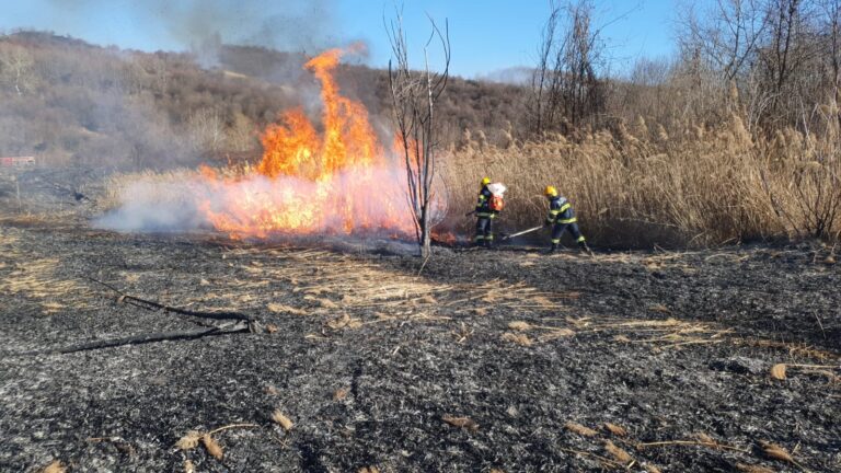 Zi de foc pentru pompierii morenari! Incendiu pe 5 hectare, la granița dintre Dâmbovița și Prahova