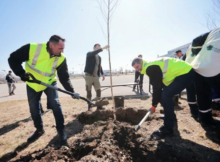 Târgoviștea… înverzește. Campanie de plantare de arbori demarată în municipiu
