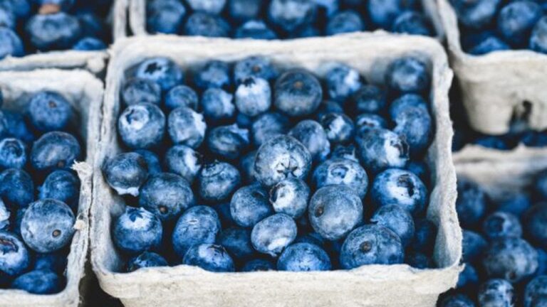 MerryBerry, cea mai mare plantație de afini bio din România, este din Dâmbovița. Concurează cu mari țări europene