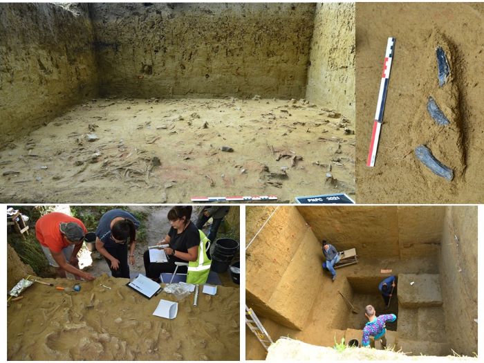 Proiect inițiat de CNM Curtea Domnească Târgoviște, printre câștigătoarele unei competiții naționale. 93.750 Euro pentru studii arheologice importante
