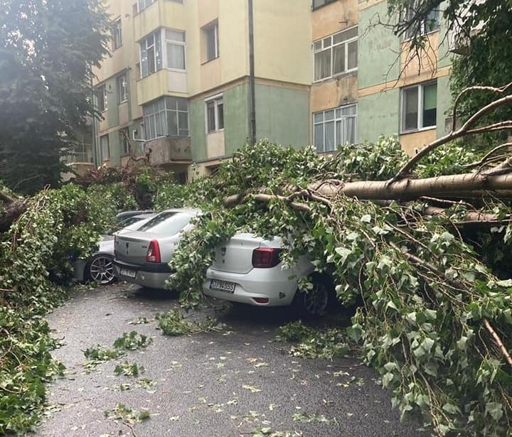 O furtună puternică a făcut prăpăd în Craiova! Mașini luate de ape, copaci doborâți și acoperișuri distruse