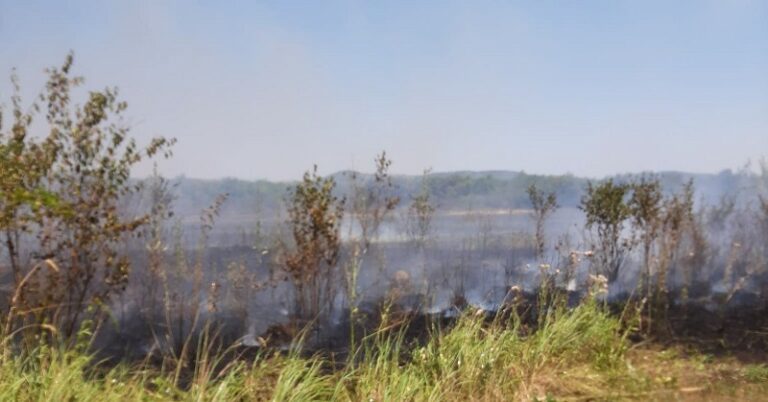 Dâmbovița, în zodia focului! Peste 600 de incendii de vegetație în  județ în prima jumătate a anului