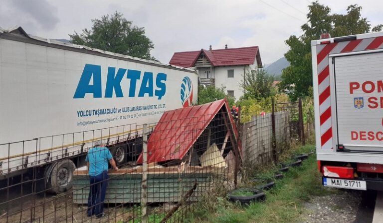 Sperietură groaznică pentru o familie de vâlceni! Cu ce s-a trezit astăzi în curte