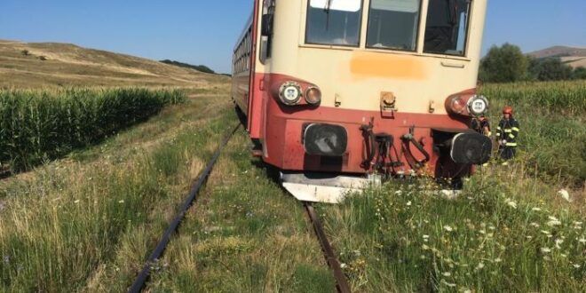 Un tren regio a deraiat după ce a lovit o vacă! A fost nevoie de intervenția pompierilor militari